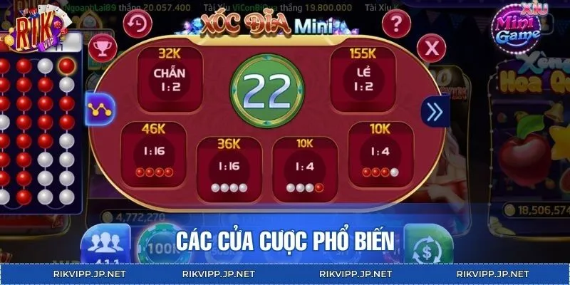 4 cửa cược được người chơi ưa chuộng