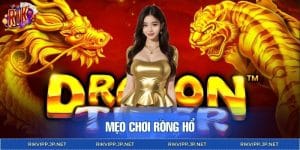 Mẹo Chơi Rồng Hổ Chuẩn Dân Chuyên Cho Bet Thủ RIKVIP 2026