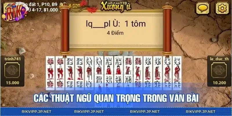 Các thuật ngữ cơ bản người chơi cần biết khi đánh Chắn